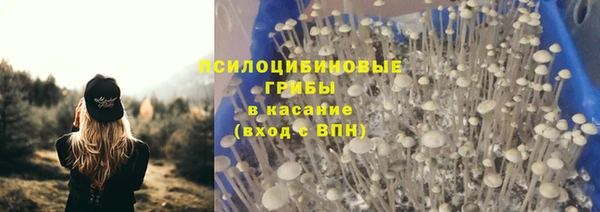 МДПВ Горнозаводск