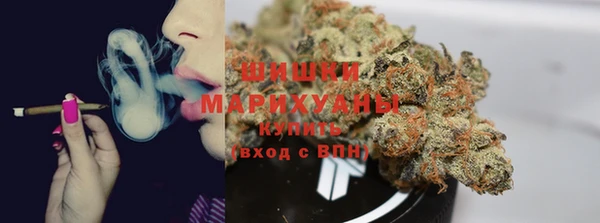 дурь Гусев