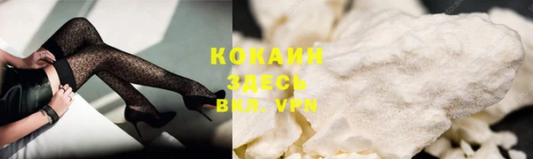 мяу мяу мука Гусь-Хрустальный