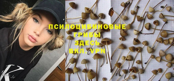 дурь Гусев